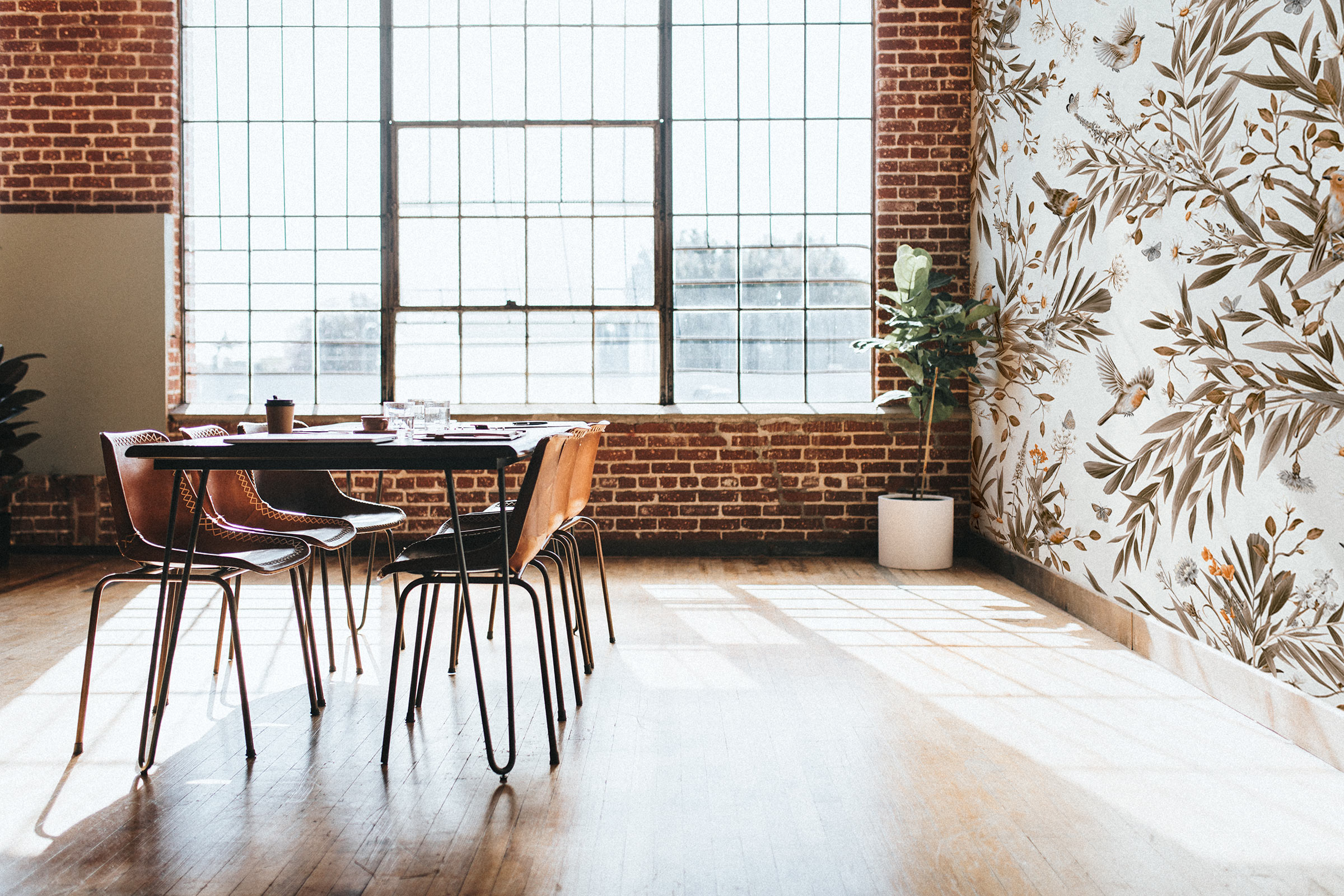 Playful Robins Vintage – White