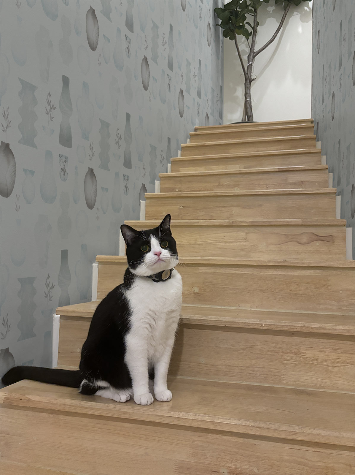 Rakuware – Misty Grey