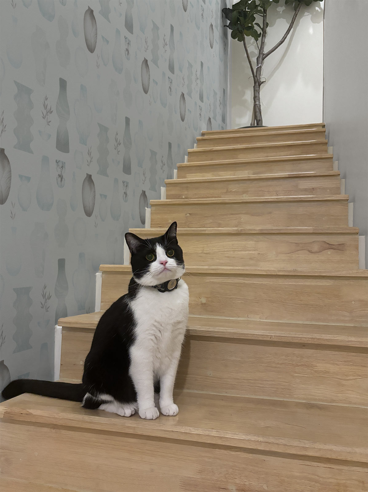 Rakuware – Misty Grey