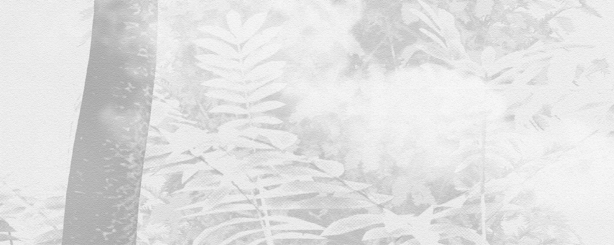 Forest Garden – Misty Grey
