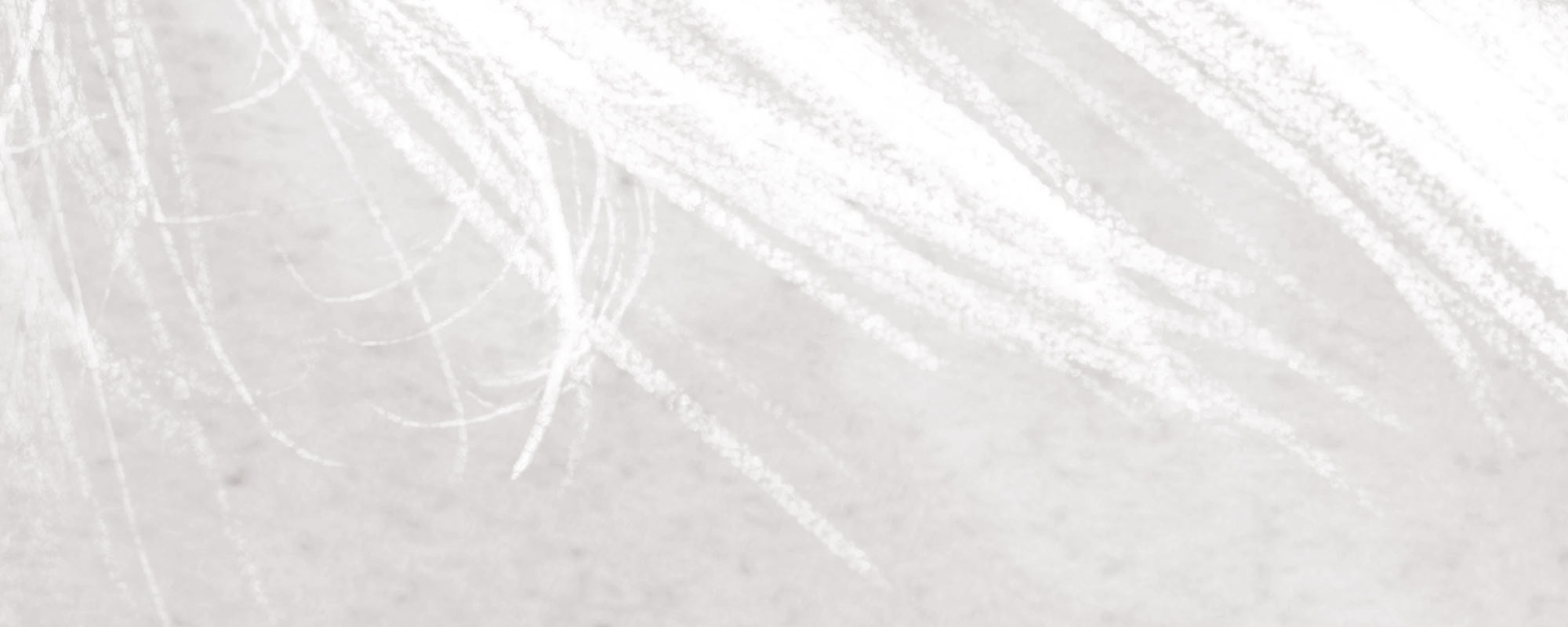 Falling Feathers – Light Grey