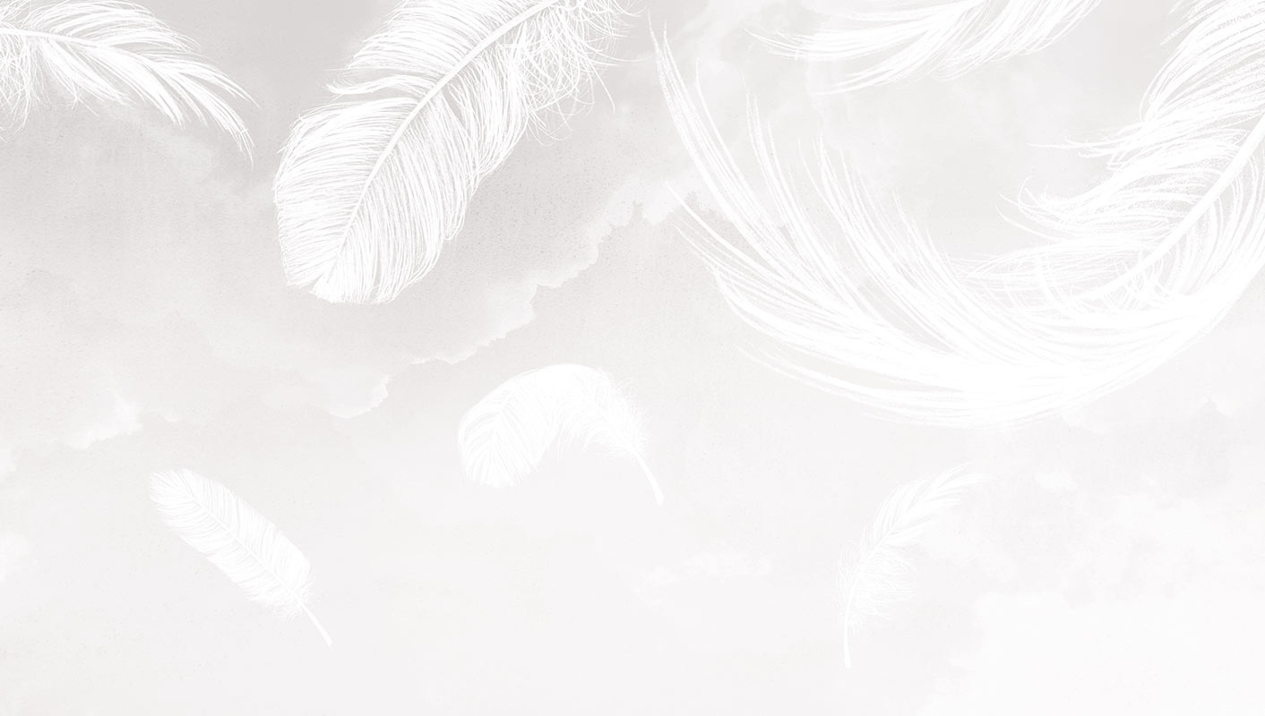 Falling Feathers – Light Grey