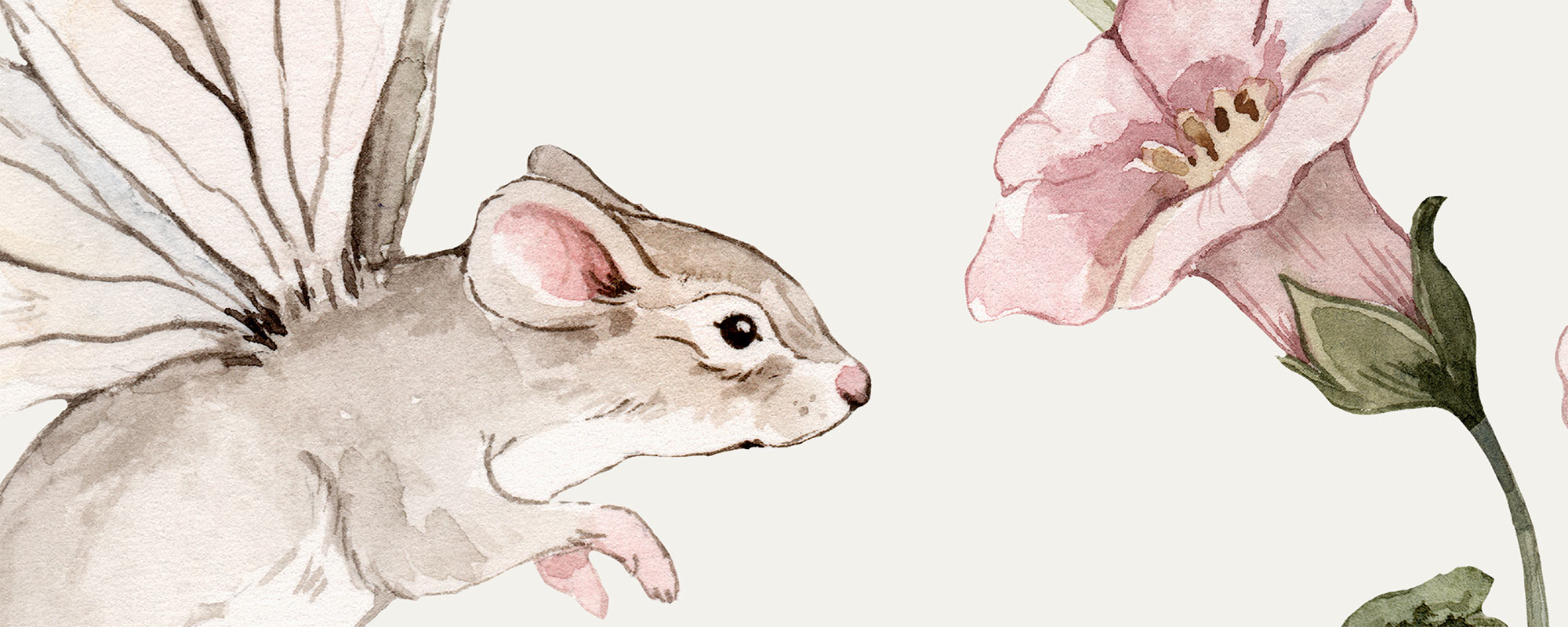 Fairy Mice
