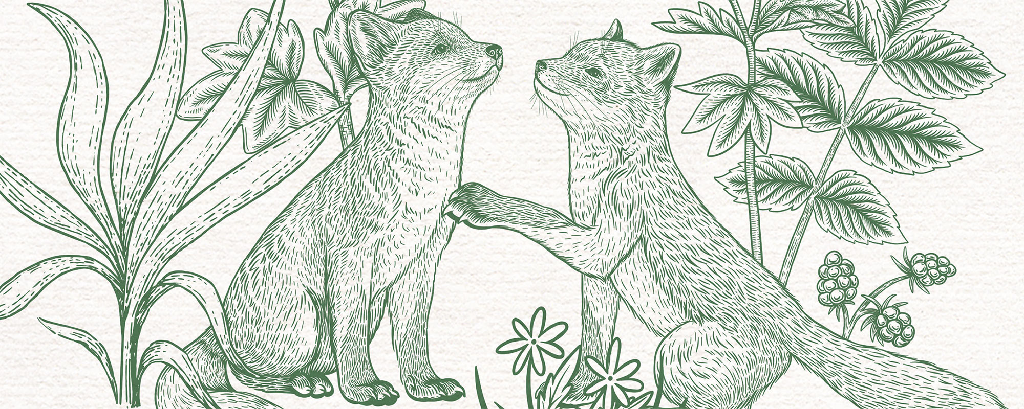 Fun Foxes – Green