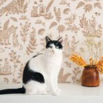 Fun Foxes – Sepia Beige