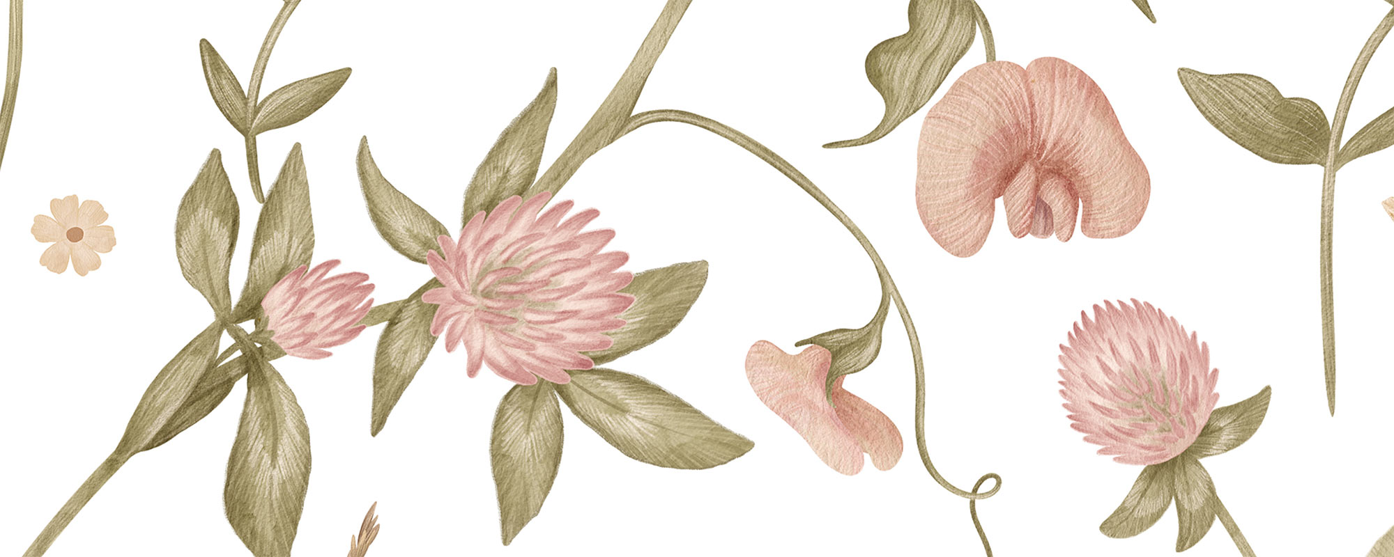 Meadow Flowers
