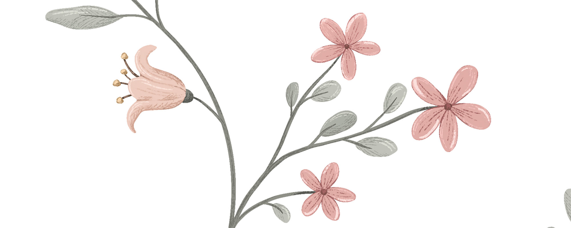 Pretty Flowers