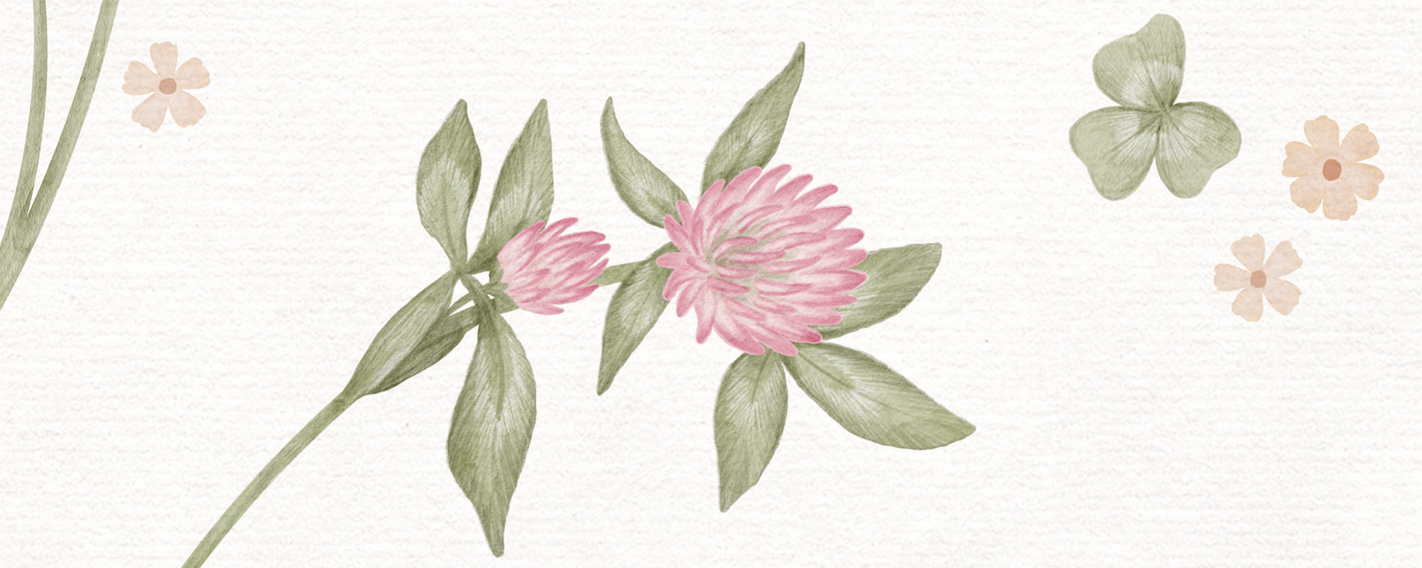 Clover Meadow